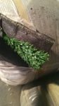 Искусственный газон коллекция GREENIE 40mm